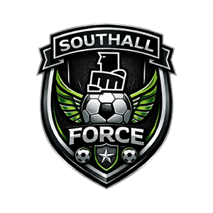 SOUTH HALL LOGO 300X300